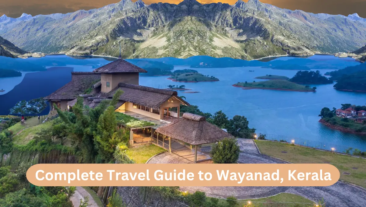 Complete Travel Guide to Wayanad, Kerala