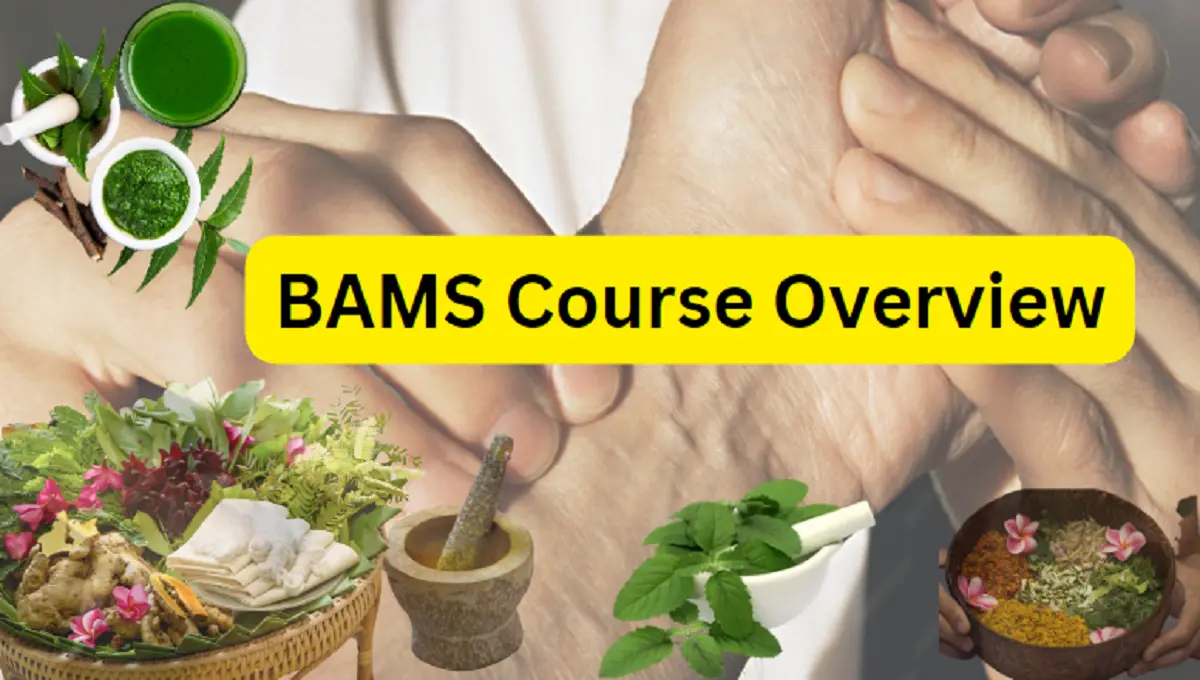 BAMS Course Overview: Eligibility, Fees, Duration, Admission, Syllabus, and Career Scope etc.