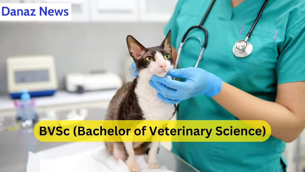 Everything About BVSc (Bachelor of Veterinary Science): A Comprehensive Guide