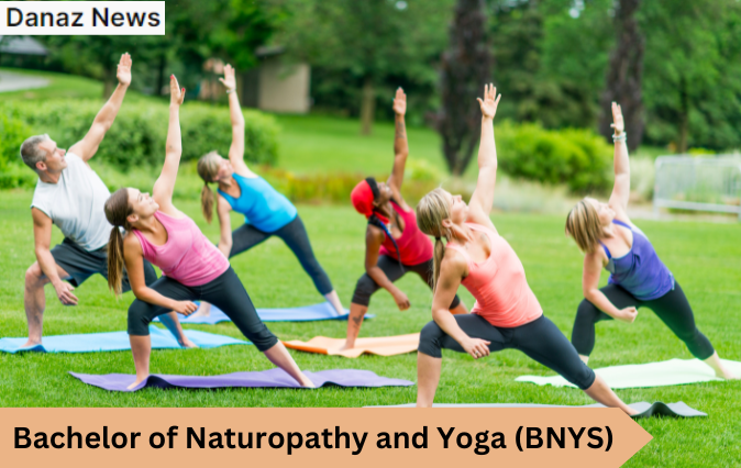 Bachelor of Naturopathy and Yoga (BNYS)