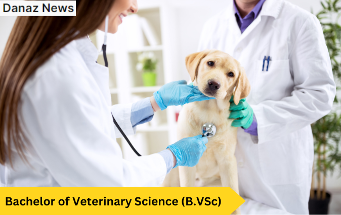 Bachelor of Veterinary Science (B.VSc)