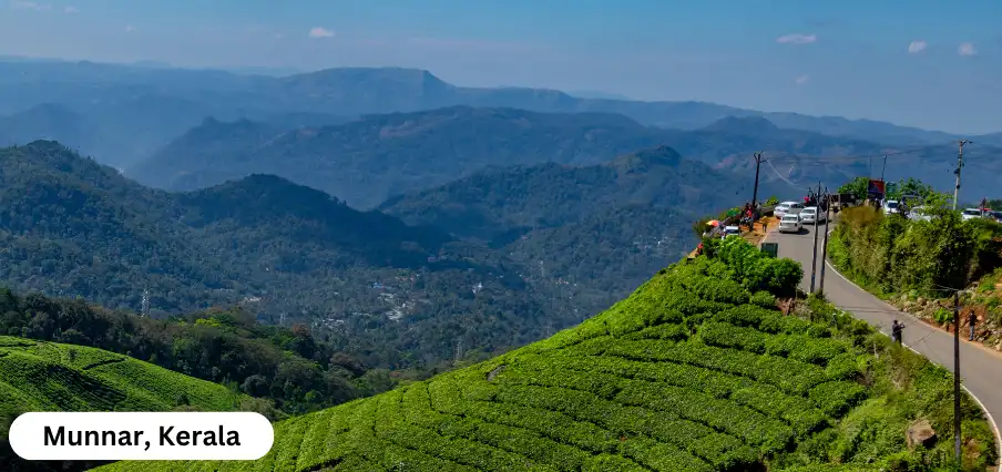 Munnar, Kerala