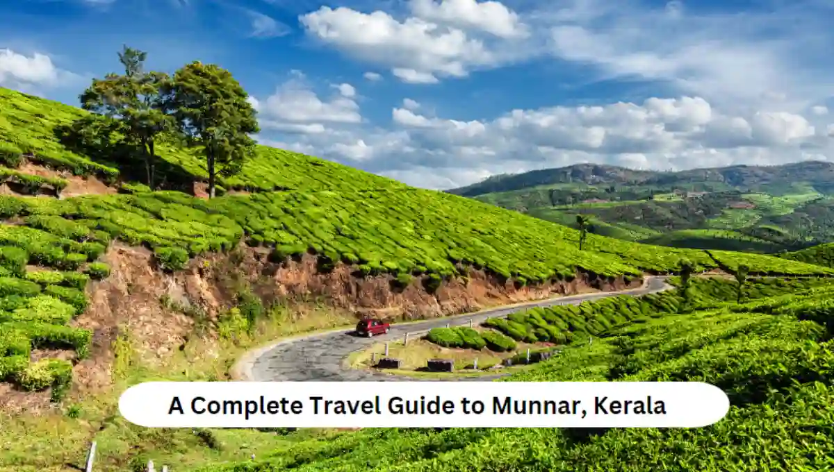 A Complete Travel Guide to Munnar, Kerala