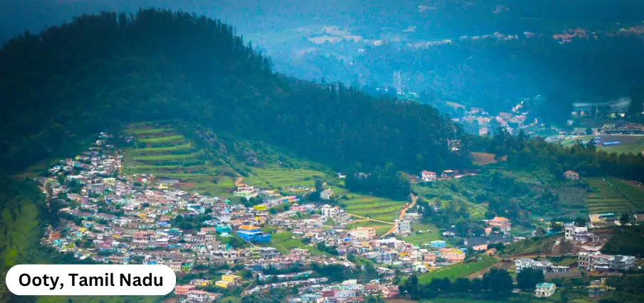 Ooty, Tamil Nadu