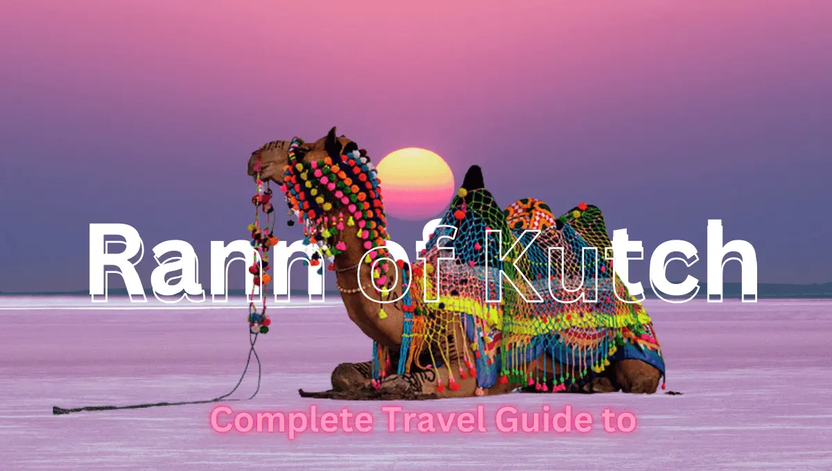 A Complete Travel Guide to Rann of Kutch, Gujarat