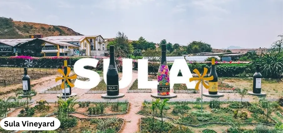 Sula Vineyard